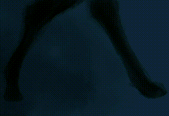 personal animation pt.1